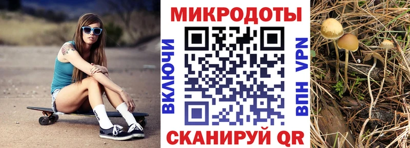 кракен онион Томари даркнет Telegram Псилоцибиновые грибы MAGIC MUSHROOMS